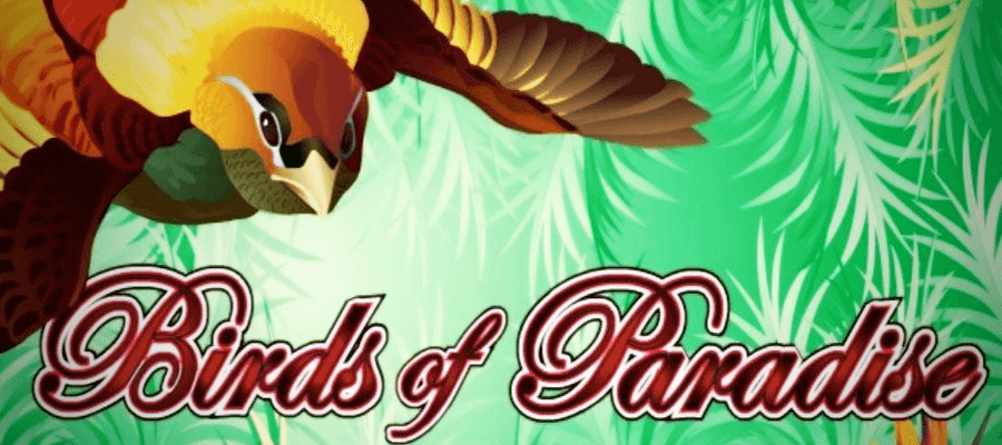 logo de Birds of paradise
